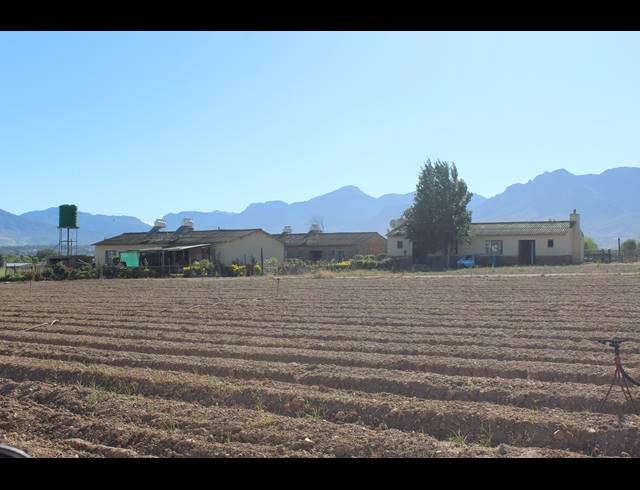 16.70HA FARM FOR SALE IN PAARL RURAL